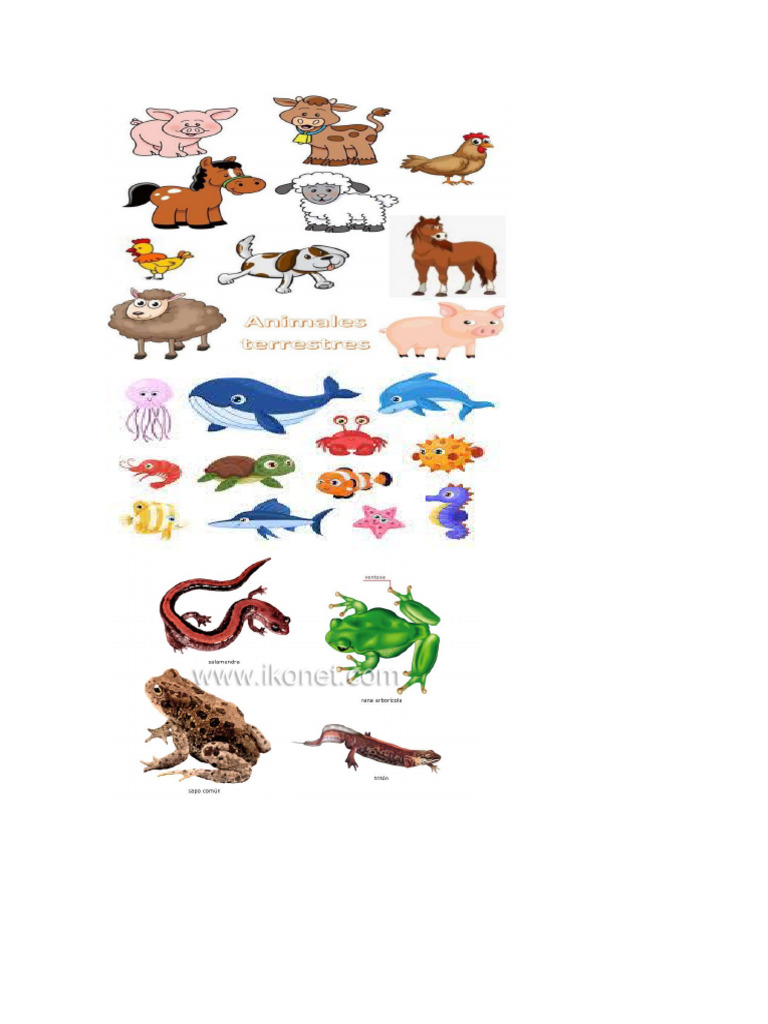 Animales | PDF