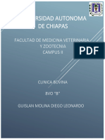 Principales Farmacos de Afinidad Al Parenquima Pulmonar