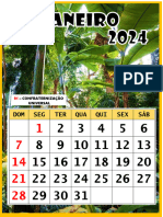 Calendário 7°