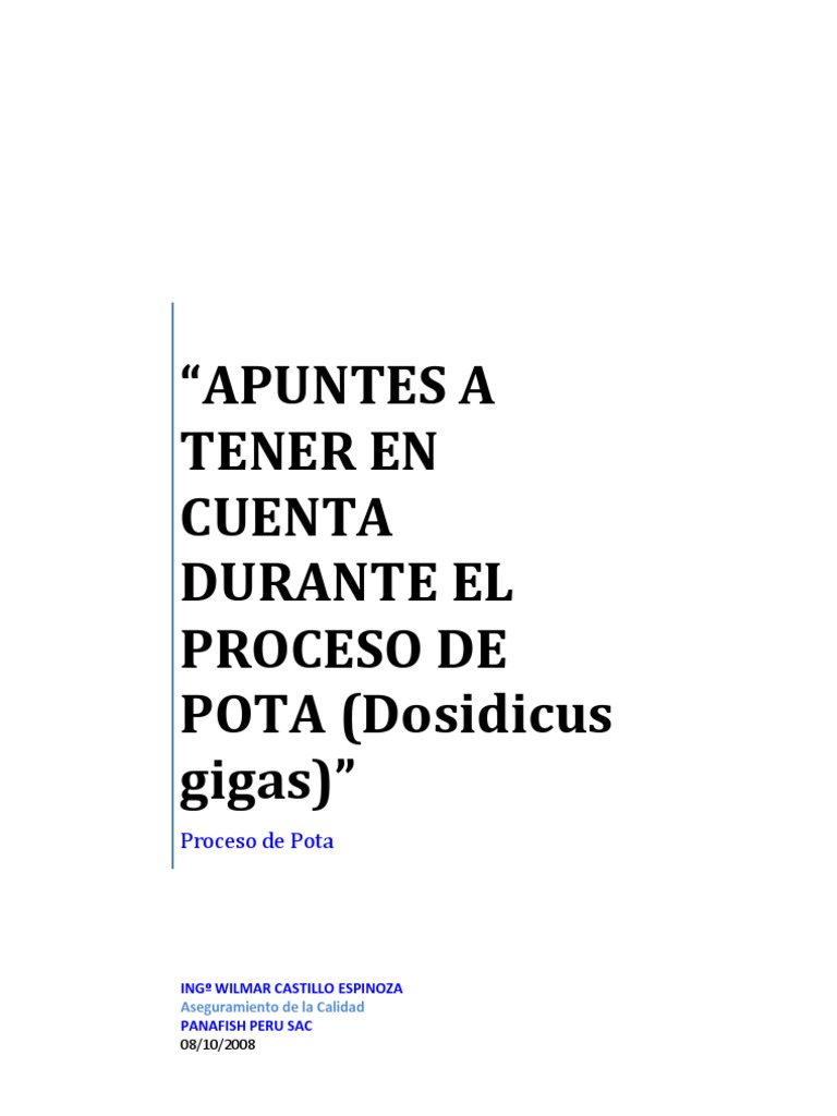 Proceso de Pota: Guía Técnica y Calidad | PDF | Aluminio | Calidad ...