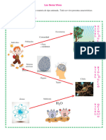 Los Seres Vivos Tema