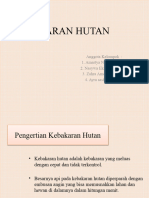 PLH-Kebakaran Hutan