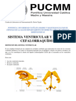 Catedra de Laboratorio de Neuroanatomía Sistema Ventricular y LCR PUCMM 2