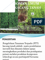 PTT Kacang Tanah