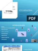 Presentacion CUCARACHAS