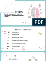 Presentacion Neuromitos Analisis Del Caso 2