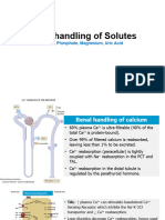 Supplement Renal Handling of Miscellaneous Solutes