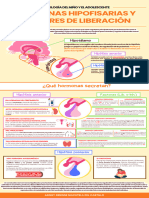 Infografia Hormonas Hipofisarias