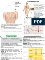 Guía Examen Final Procedimientos Invasivos y No Invasivos