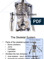 Q1 W3 D1 Skeletal System
