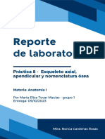 Reporte de Anatomía