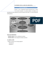 Cálculo Dental. Material de Estudio