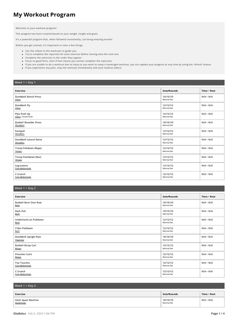 Customized 4-Week Workout Plan | PDF | Management Of Obesity | Weight