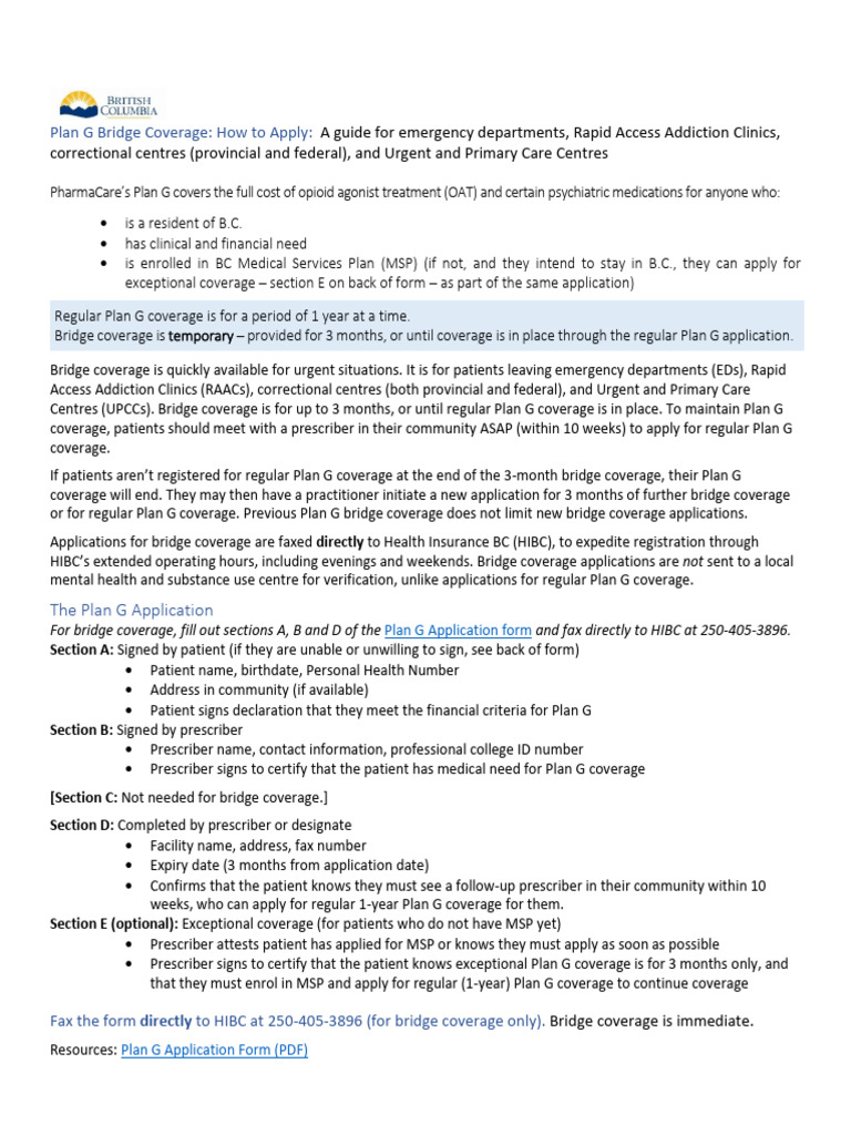 Plan G Bridge Coverage Application Guide | PDF | Emergency Department ...
