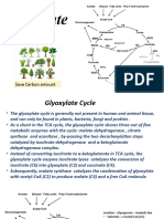 Glyoxylate Cycle 12