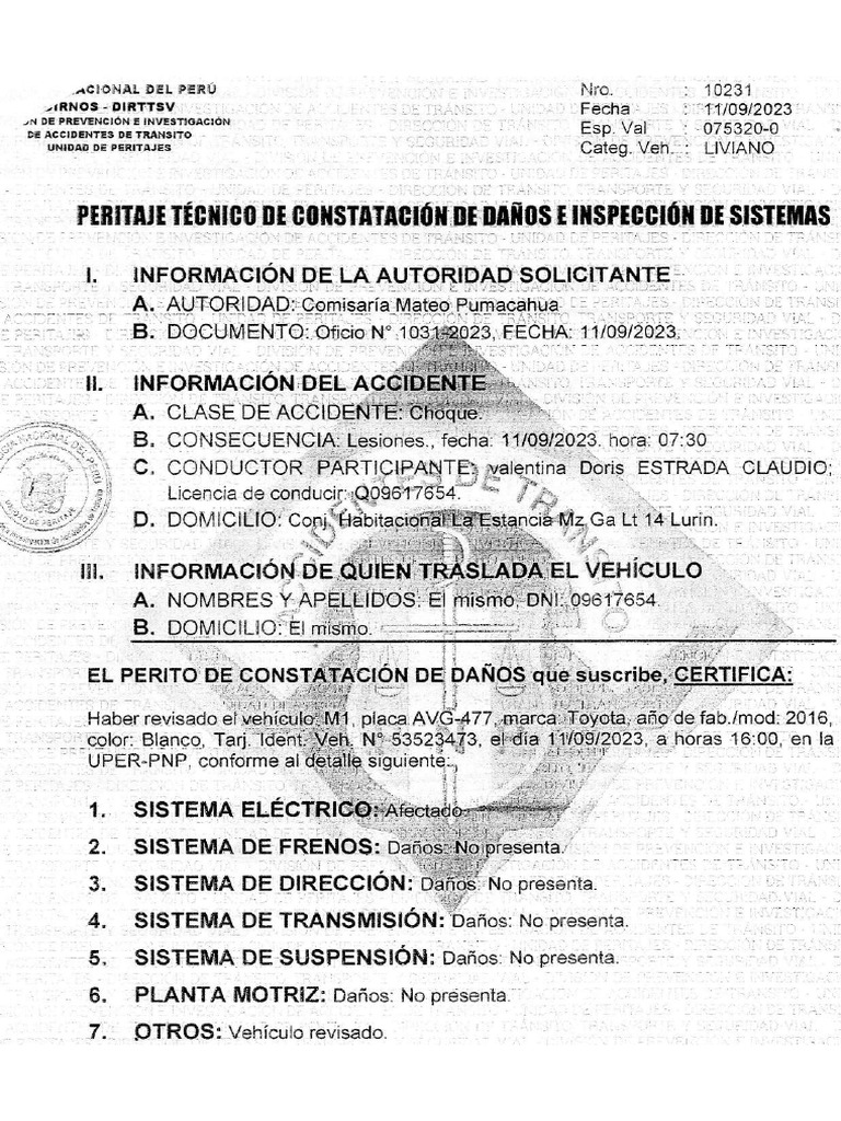 peritaje-pdf