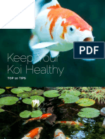 Koi Health