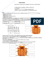 ZL - TrÃ¡vicÃ Soustava - Pracovnã List