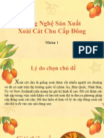 Xoài Cát Chu Đông L NH - Nhóm 1