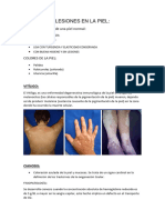 Lesiones en La Piel PDF