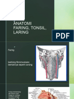 Anatomi Faring Tonsil Laring