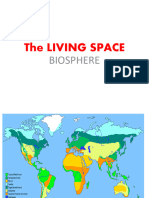 The Living Space