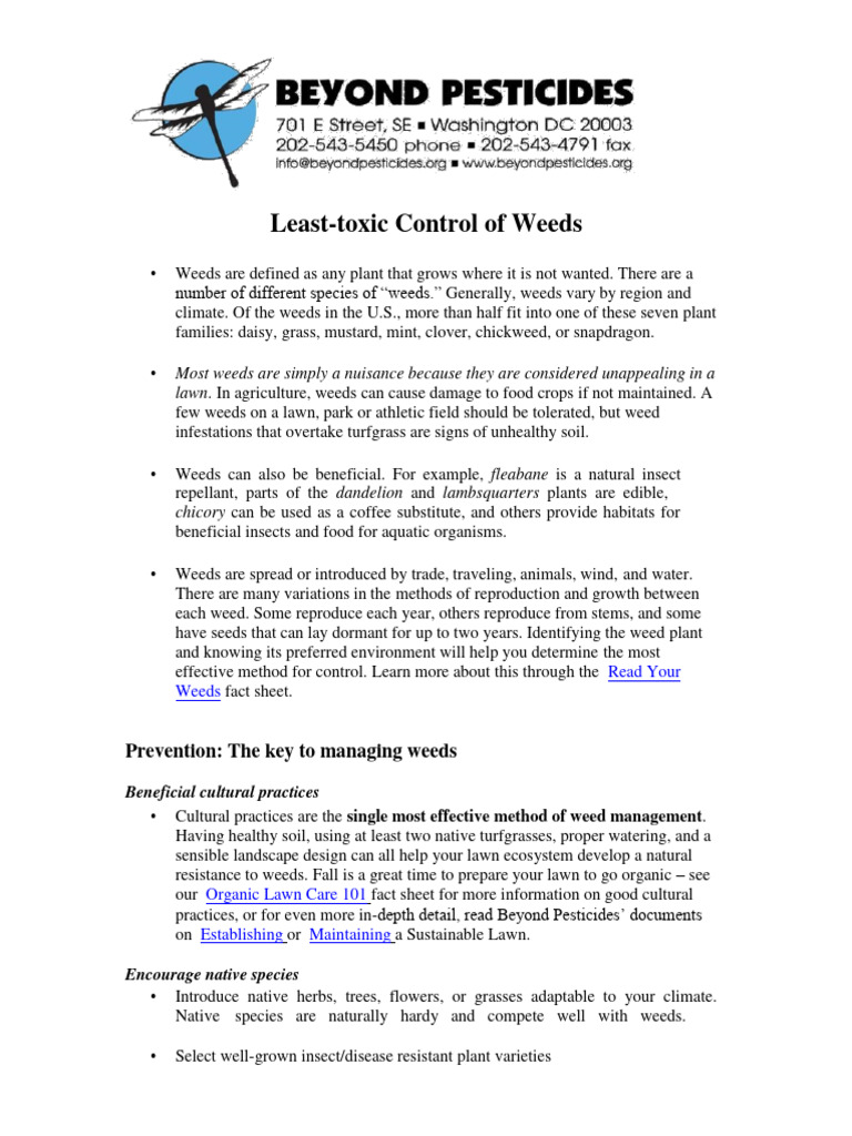 Western Spurs Zinc Alloy Vintage With Gear For Men, Rust Proof & Non Toxic, Control Speed & Direction Of Horse Riding, Professional Cowboy Spurs