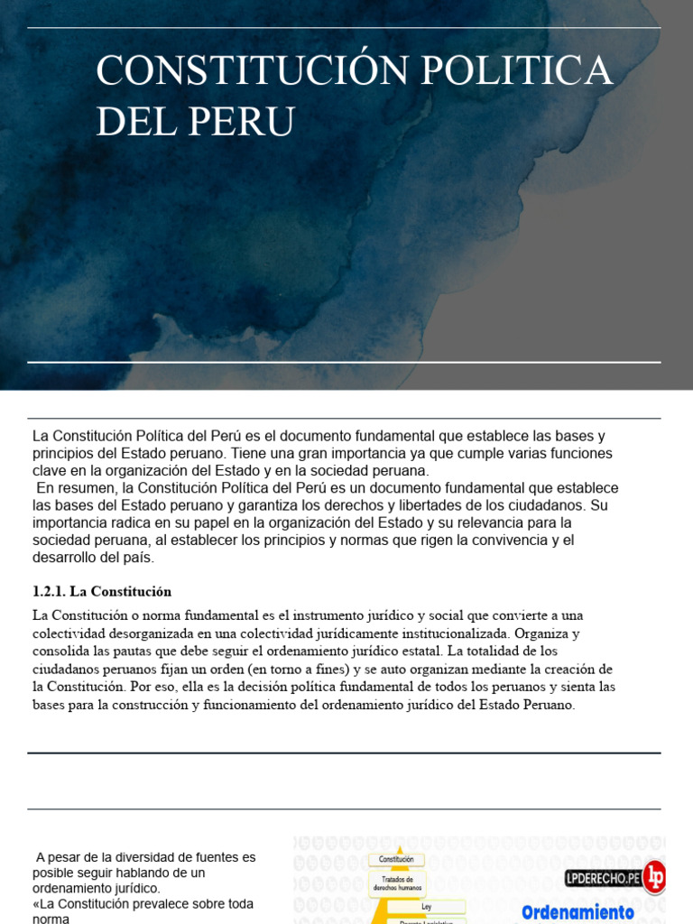 Constitución Politica Del Peru PDF Constitución Estado (política)