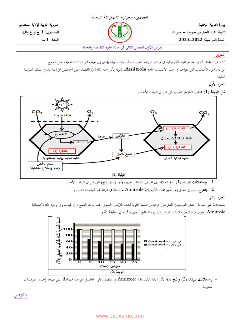 Dzexams 1as sciences 615008 PDF