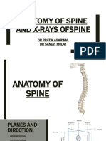 X-ray_of_Spine
