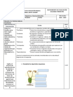 EVALUACIÓN SEGUNDO TRIMESTRE CIENCIAS NATURALES 8vo