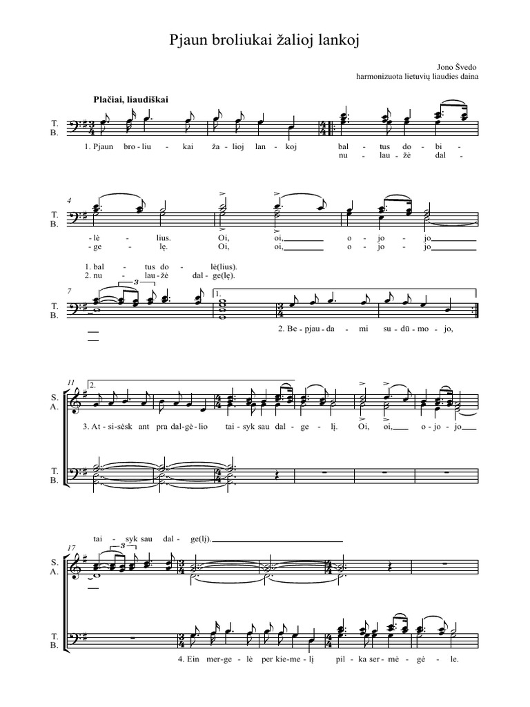 pjaunbroliukai-pdf