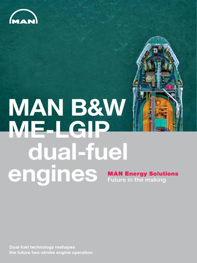me-lgip-dual-fuel-engine-overview-pdf-diesel-engine-liquefied