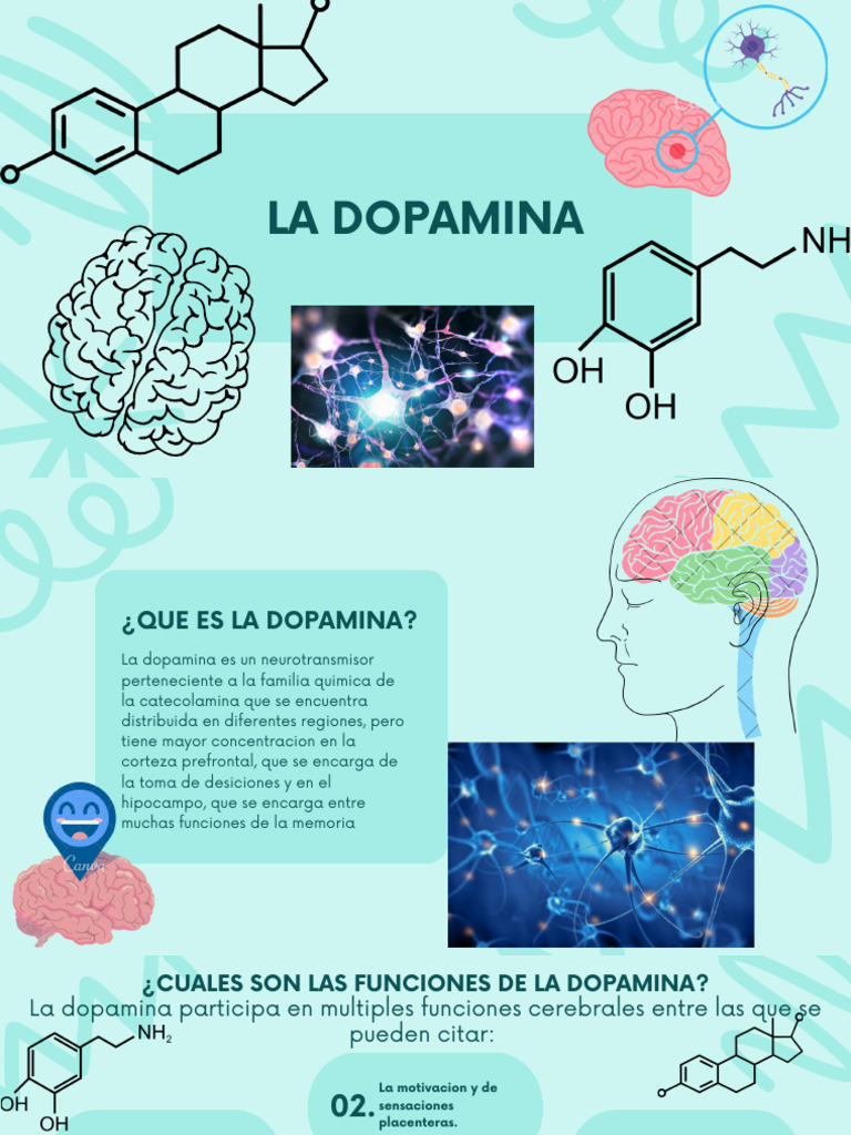 Funciones y Efectos de la Dopamina | PDF | Dopamina | Esquizofrenia