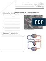 Examen Nutrició II