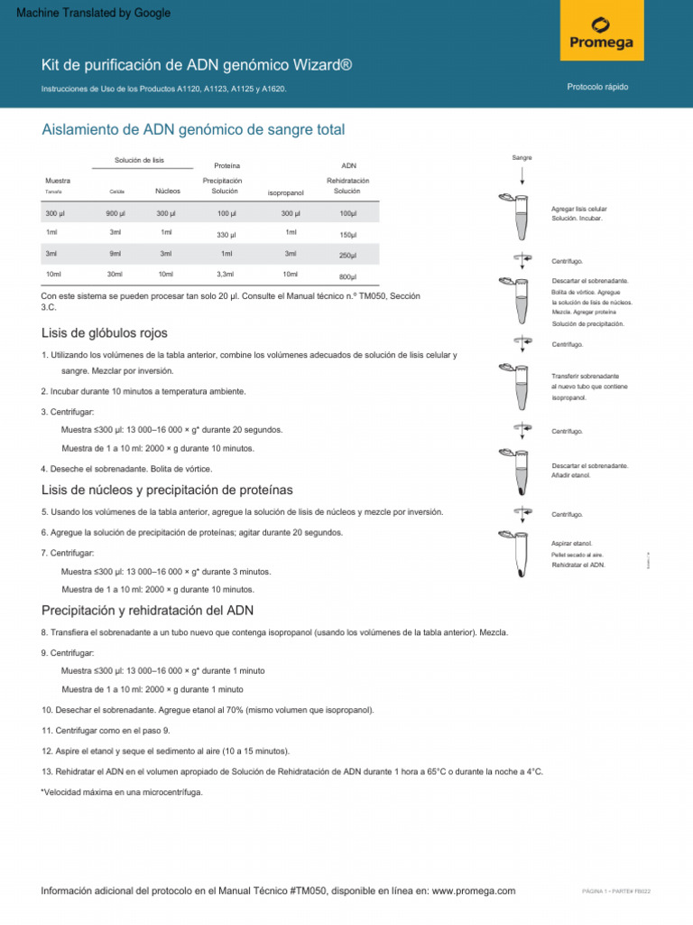 WizardGenomicDnaPurificationKitQuickProtocol Traducido PDF