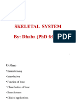 Skeletal S Anatomy