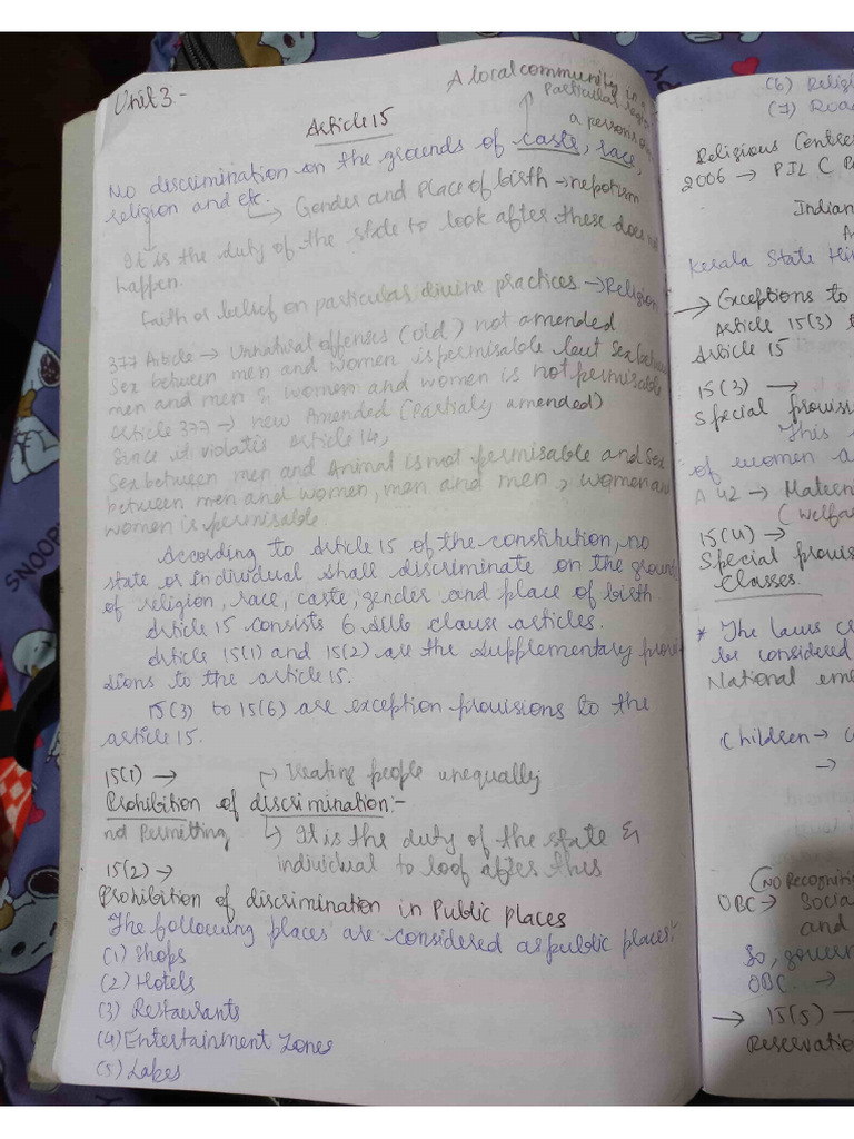 Constitution Unit 3 Written and Summarised Notes | PDF