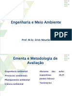 Eng. e Meio Ambiente Crise Ambiental