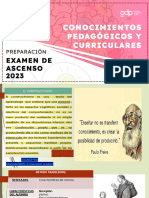 07 08 L Grupo Docente Peru L Conocimientos Pedagogicos y Curriculares 1