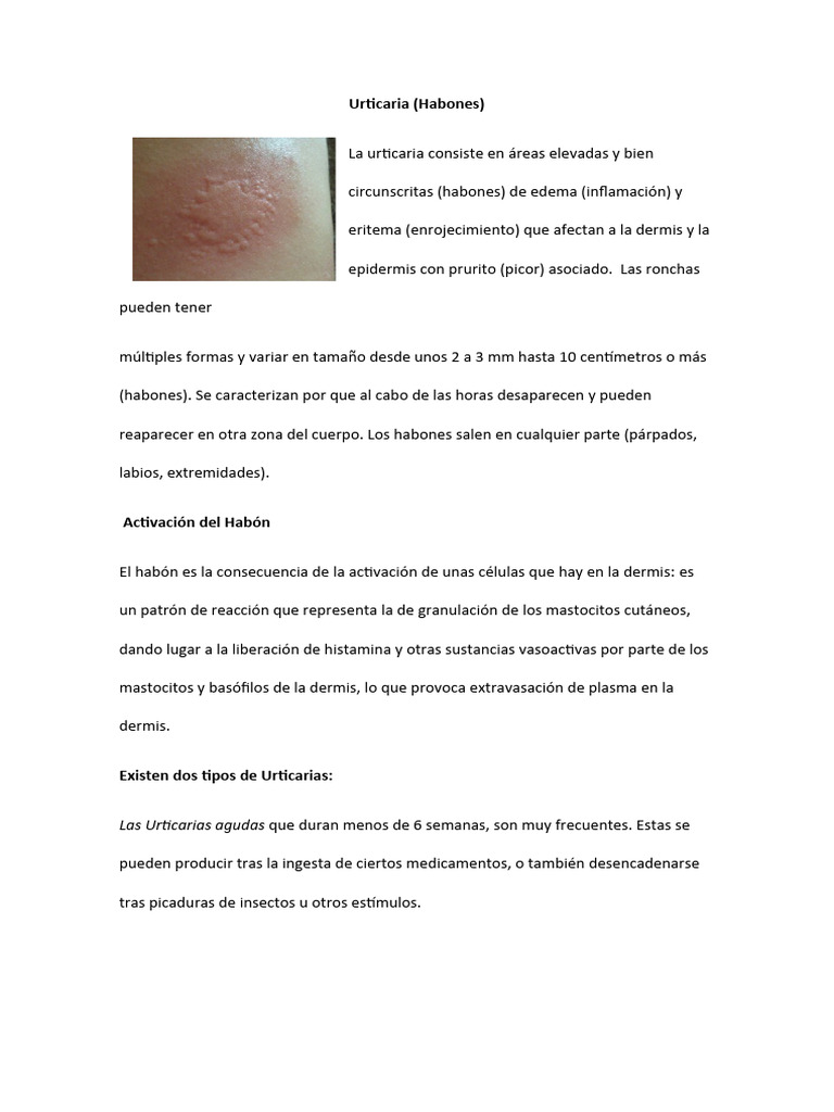 Habon y Tuber | PDF | Sistema inmune | Alergia