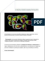 Fermentação - 2º ANO 01