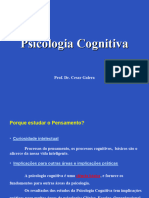 Aula 1 - Psicologia Cognitiva