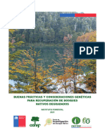 Buenas Practicas y Consideraciones Genéticas para La Recuperación de Bosques Degradados