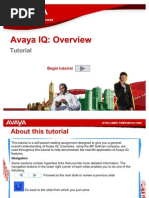 Avaya IQ Overview Tutorial