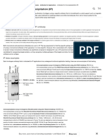 Antibodies For Immunoprecipitation (IP) - Thermo Fisher Scientific - FR