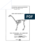 Guia Osteologica de Camelidos Sudamerica