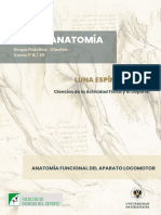 Dosier Anatomia - Luna Espin Alvarez