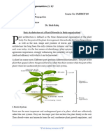 Basic Architecture of Plant