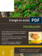 Energía en Ecología